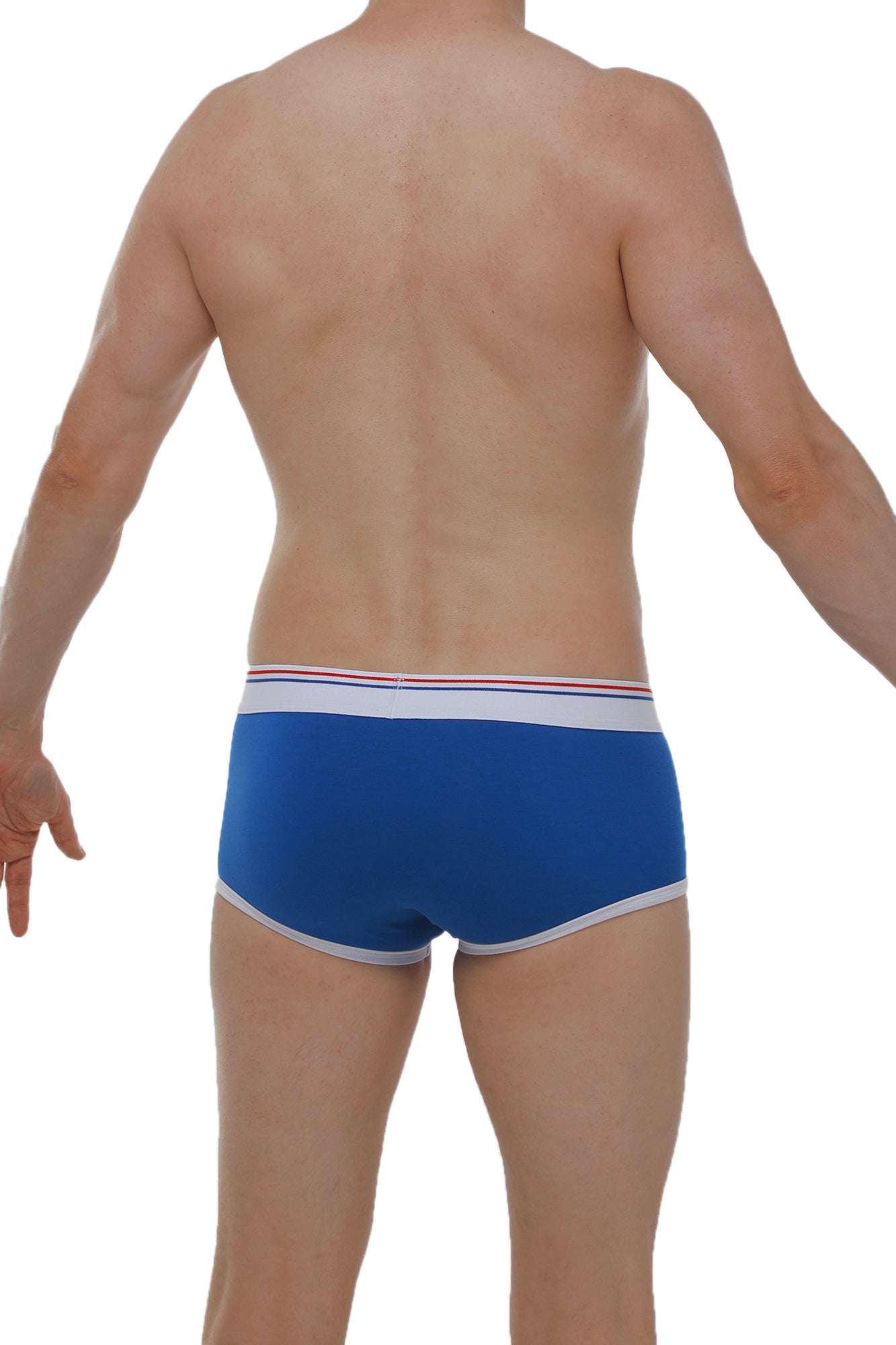 Blauer Morrier Boxer
