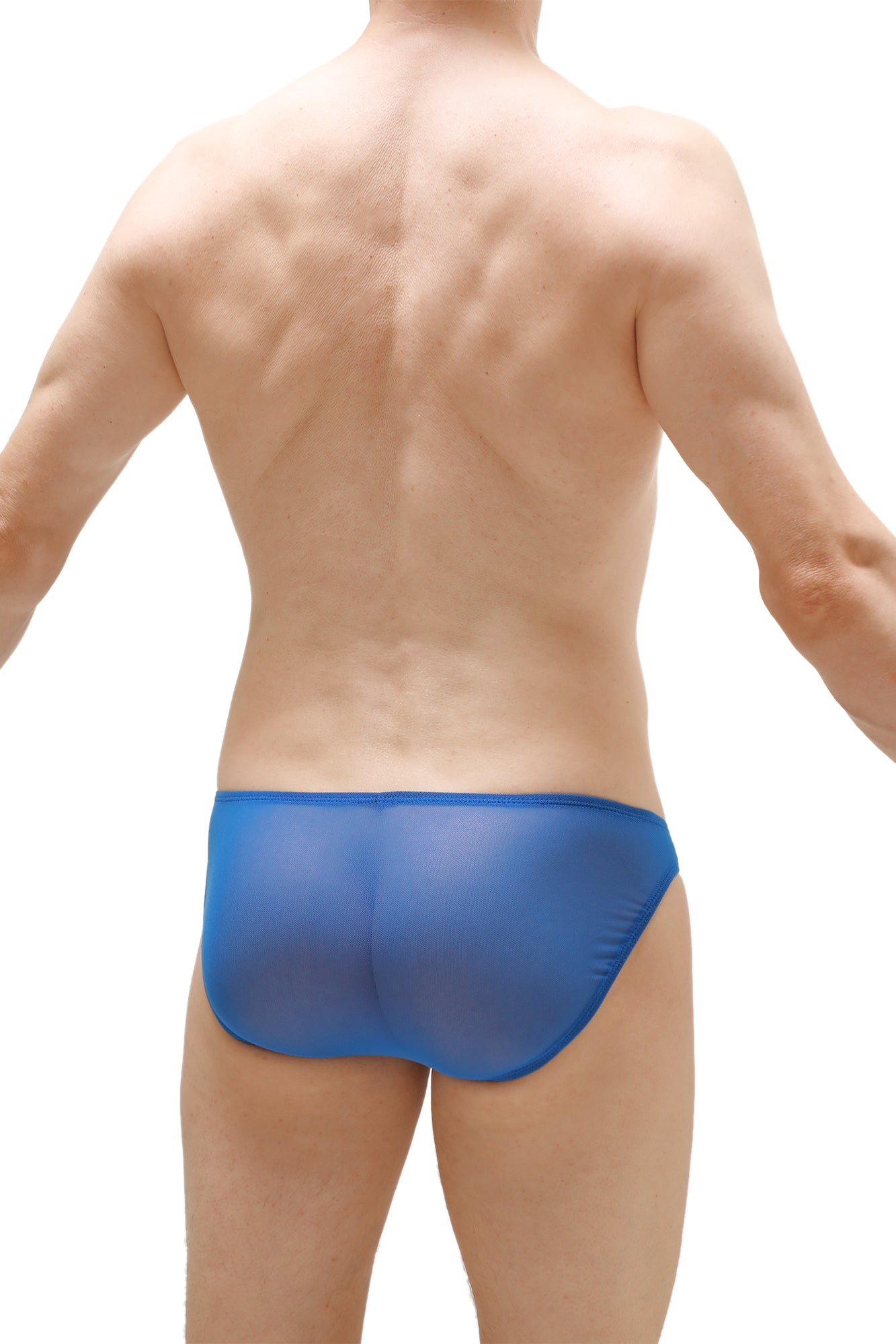 Menil Net Cobalt Briefs