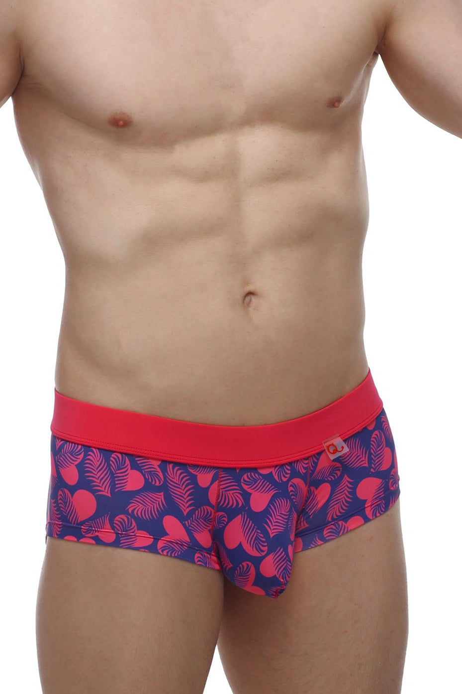 Boxer Antras Tropical Hearts
