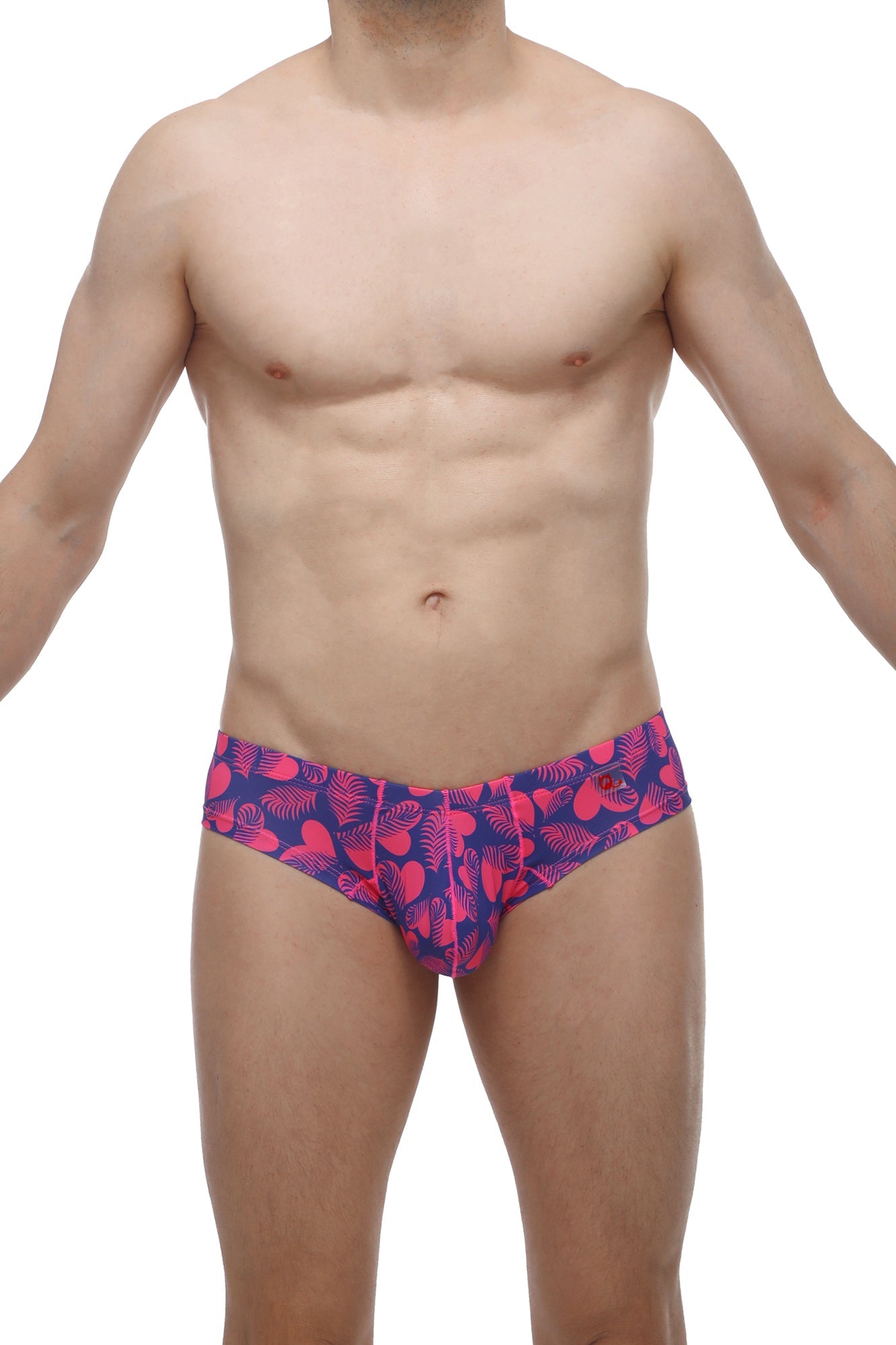 Mini Boxer Tropical Hearts